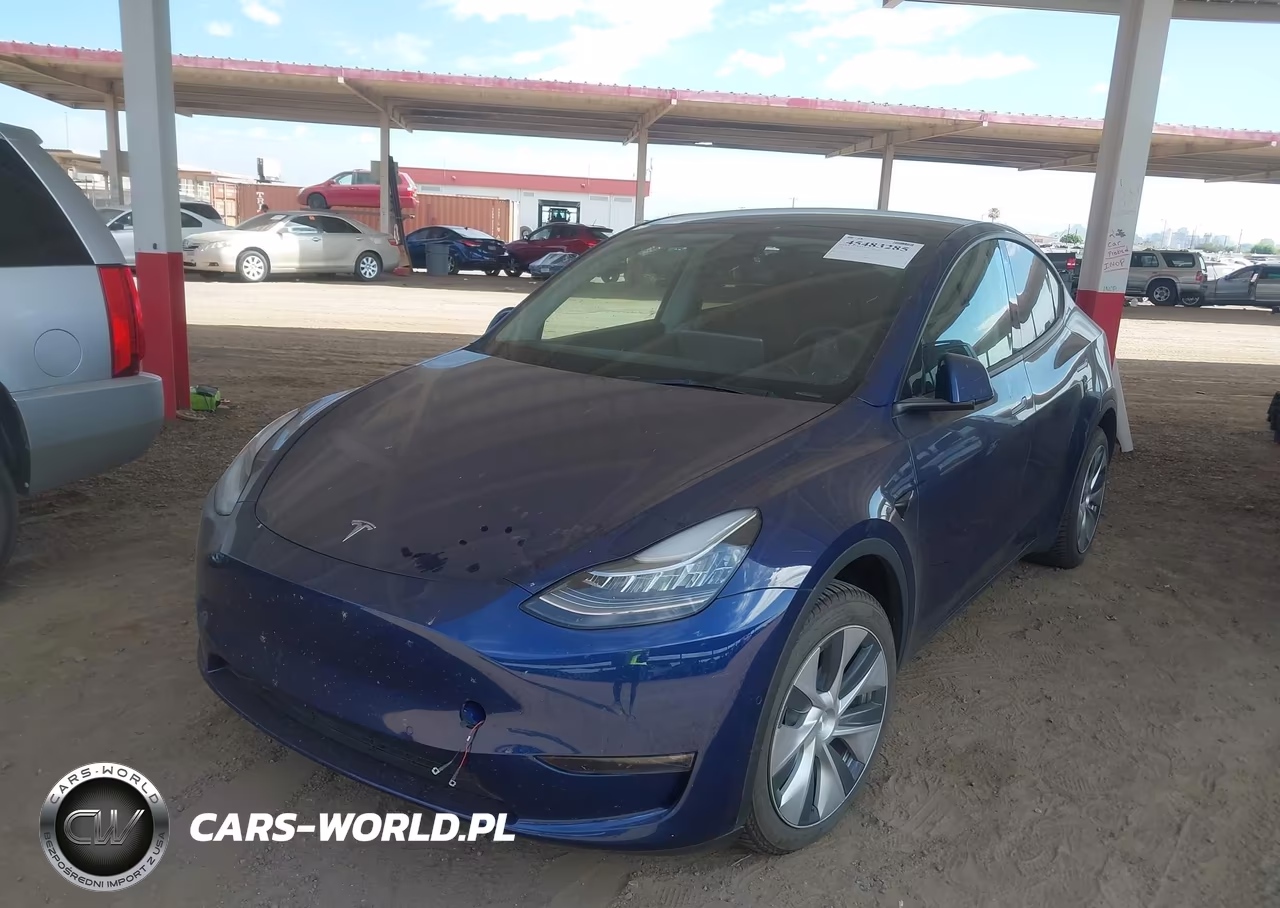 2022 Tesla Model Y VIN:7SAYGDEE7NF369556 - 2