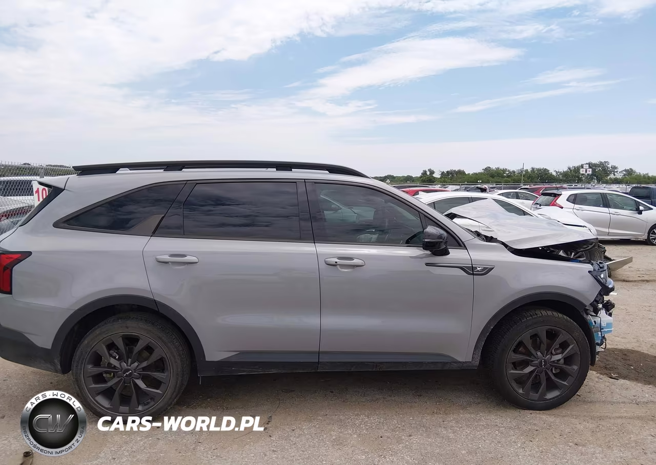 2023 Kia Sorento X-Line Sx Prestige VIN:5XYRKDLF3PG223873 - 13