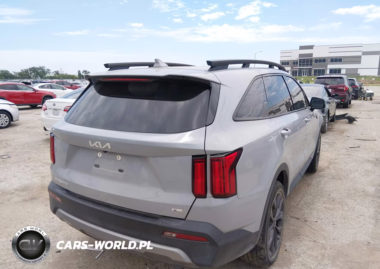 2023 Kia Sorento X-Line Sx Prestige VIN:5XYRKDLF3PG223873 - 4