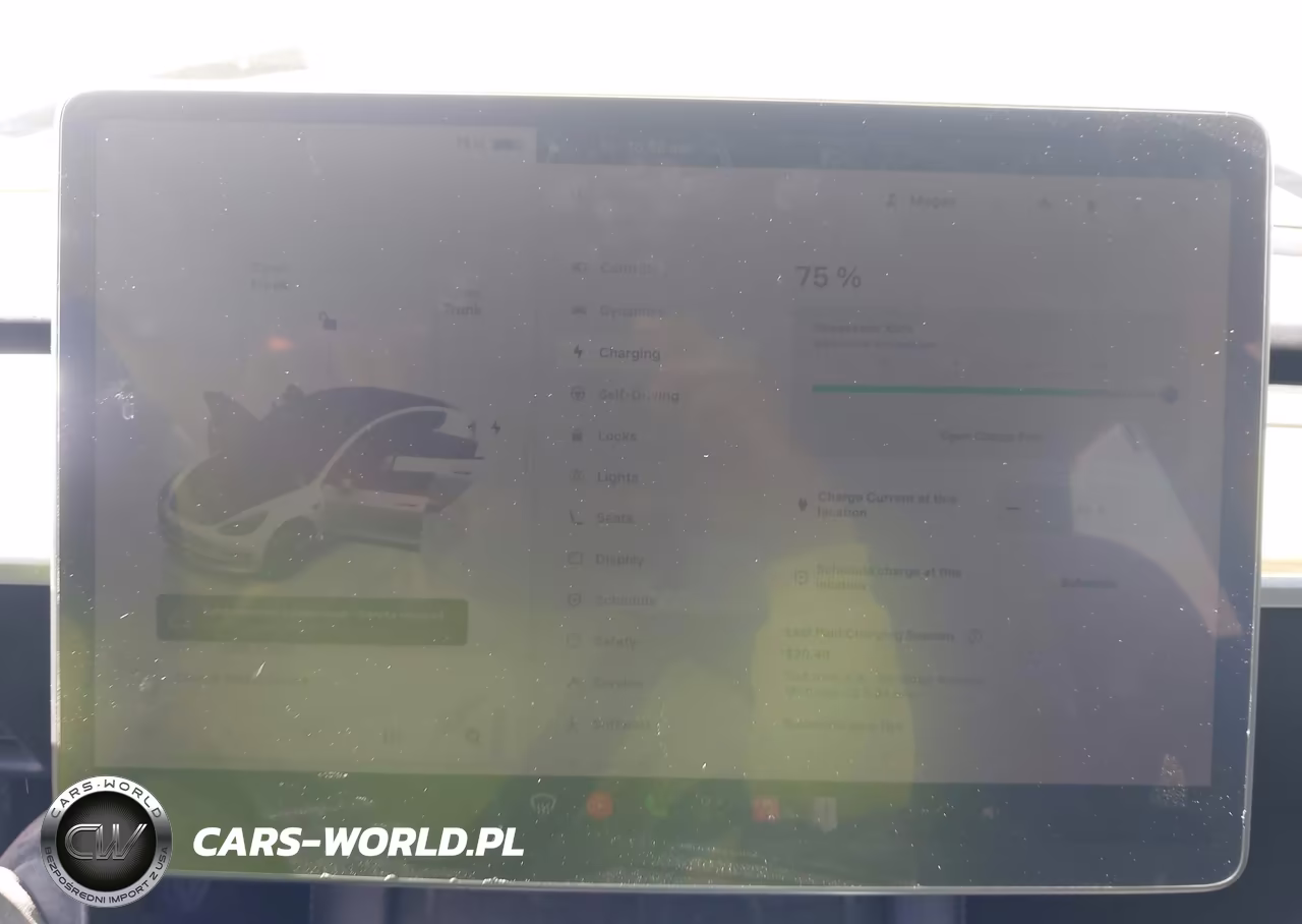 2023 Tesla Model 3 Rear-Wheel Drive VIN:5YJ3E1EA6PF578976 - 17