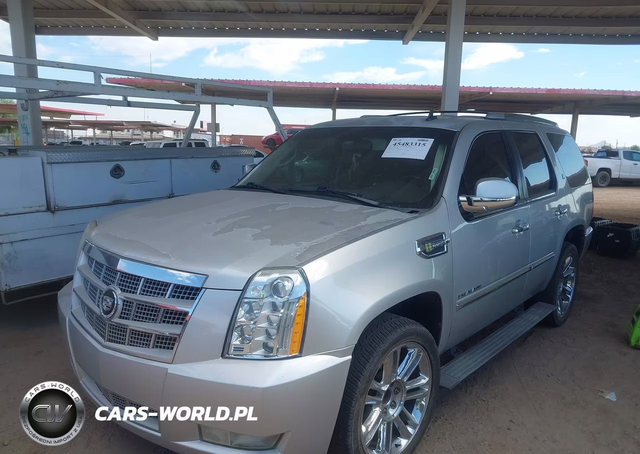 2010 Cadillac Escalade Hybrid Platinum VIN:1GYUCFEJ9AR160978 - 2
