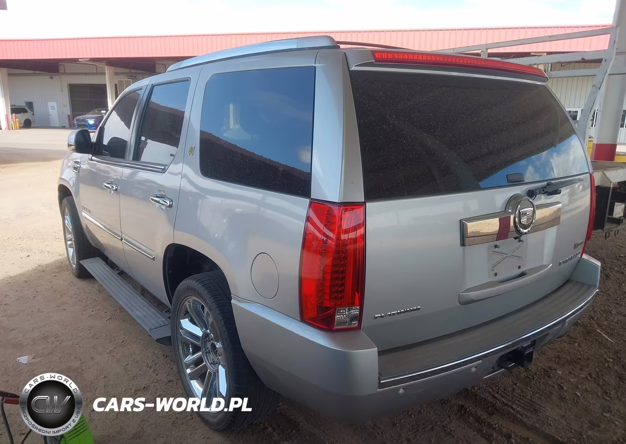 2010 Cadillac Escalade Hybrid Platinum VIN:1GYUCFEJ9AR160978 - 3