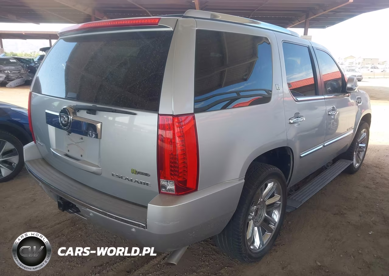 2010 Cadillac Escalade Hybrid Platinum VIN:1GYUCFEJ9AR160978 - 4