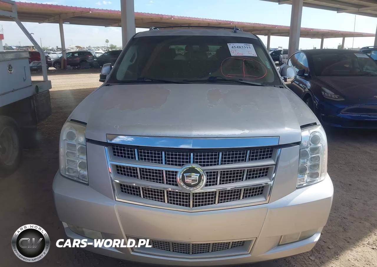 2010 Cadillac Escalade Hybrid Platinum VIN:1GYUCFEJ9AR160978 - 6