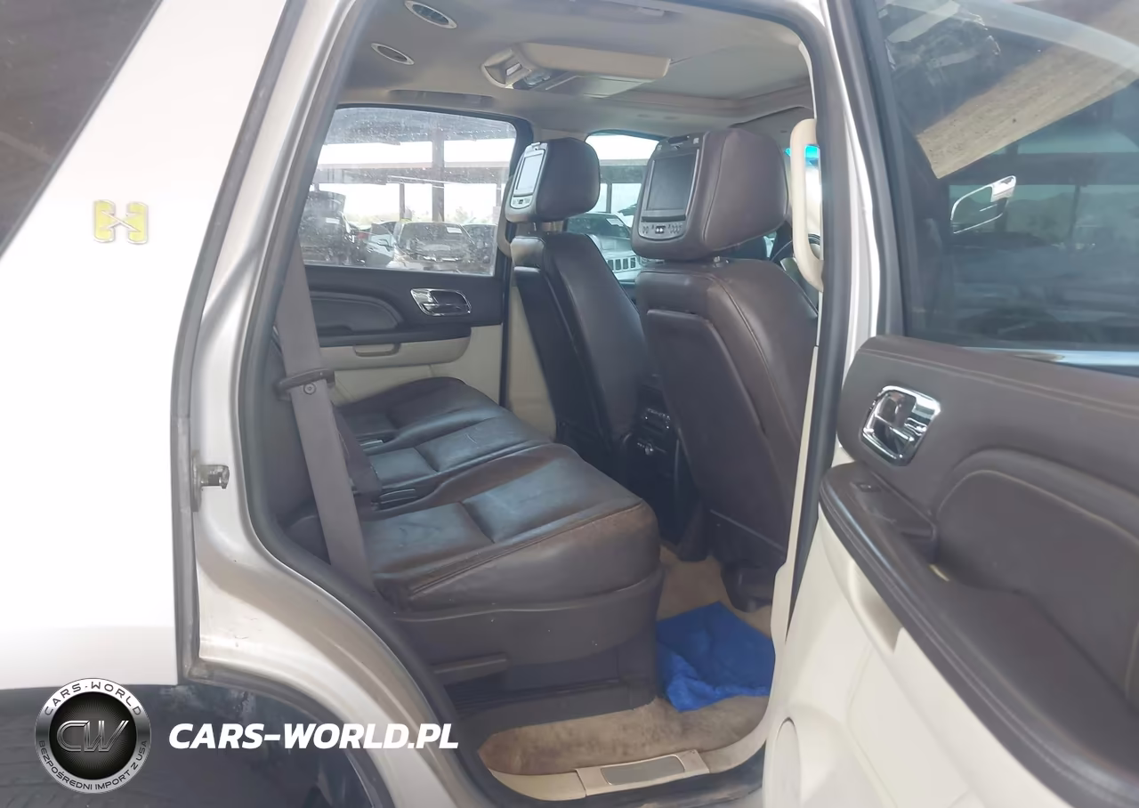 2010 Cadillac Escalade Hybrid Platinum VIN:1GYUCFEJ9AR160978 - 8