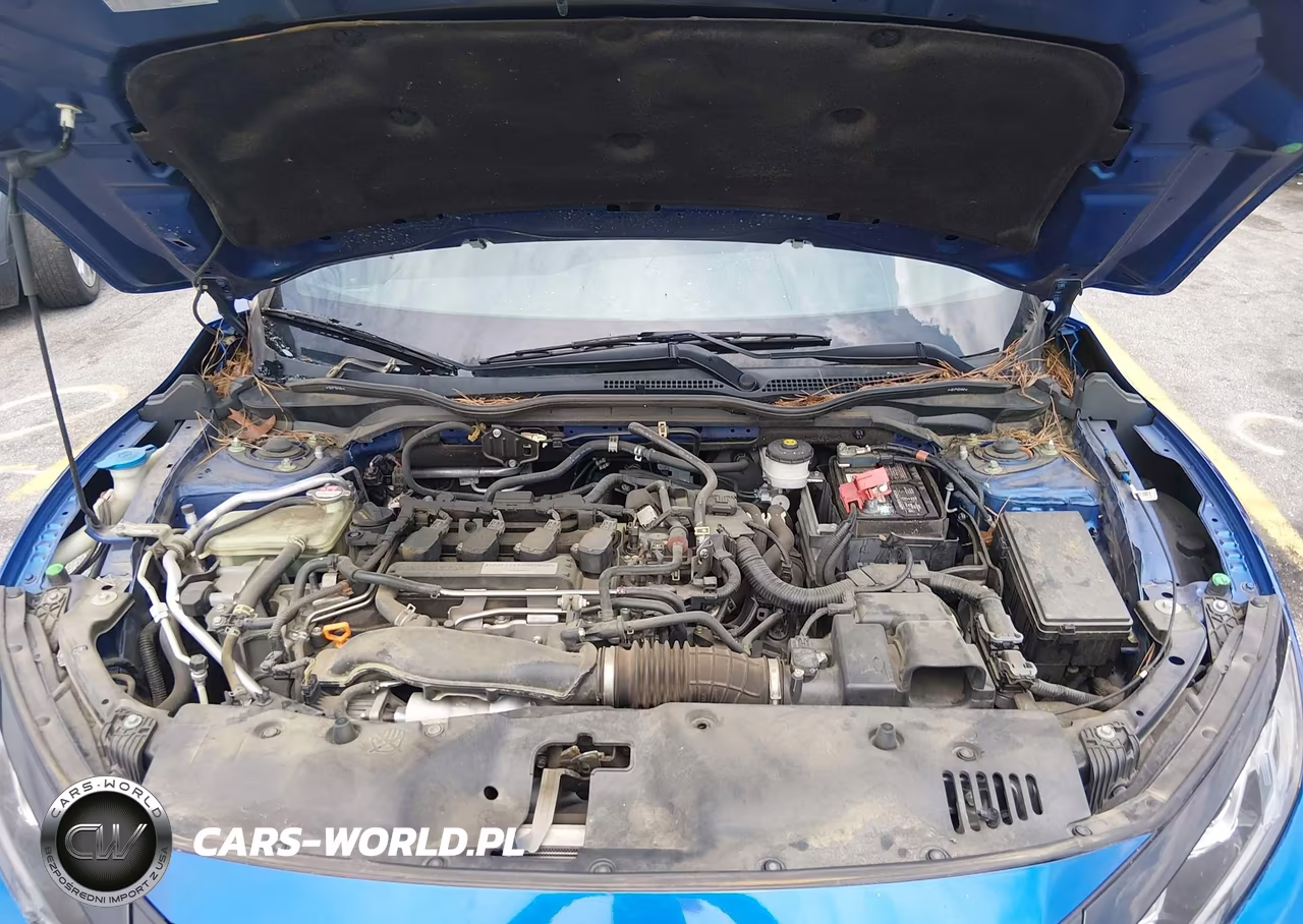 2017 Honda Civic Ex VIN:SHHFK7H51HU223138 - 10