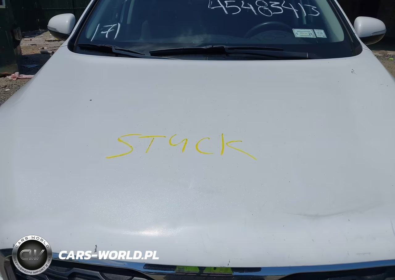 2019 Kia Sorento 3.3L Lx VIN:5XYPGDA55KG551064 - 10