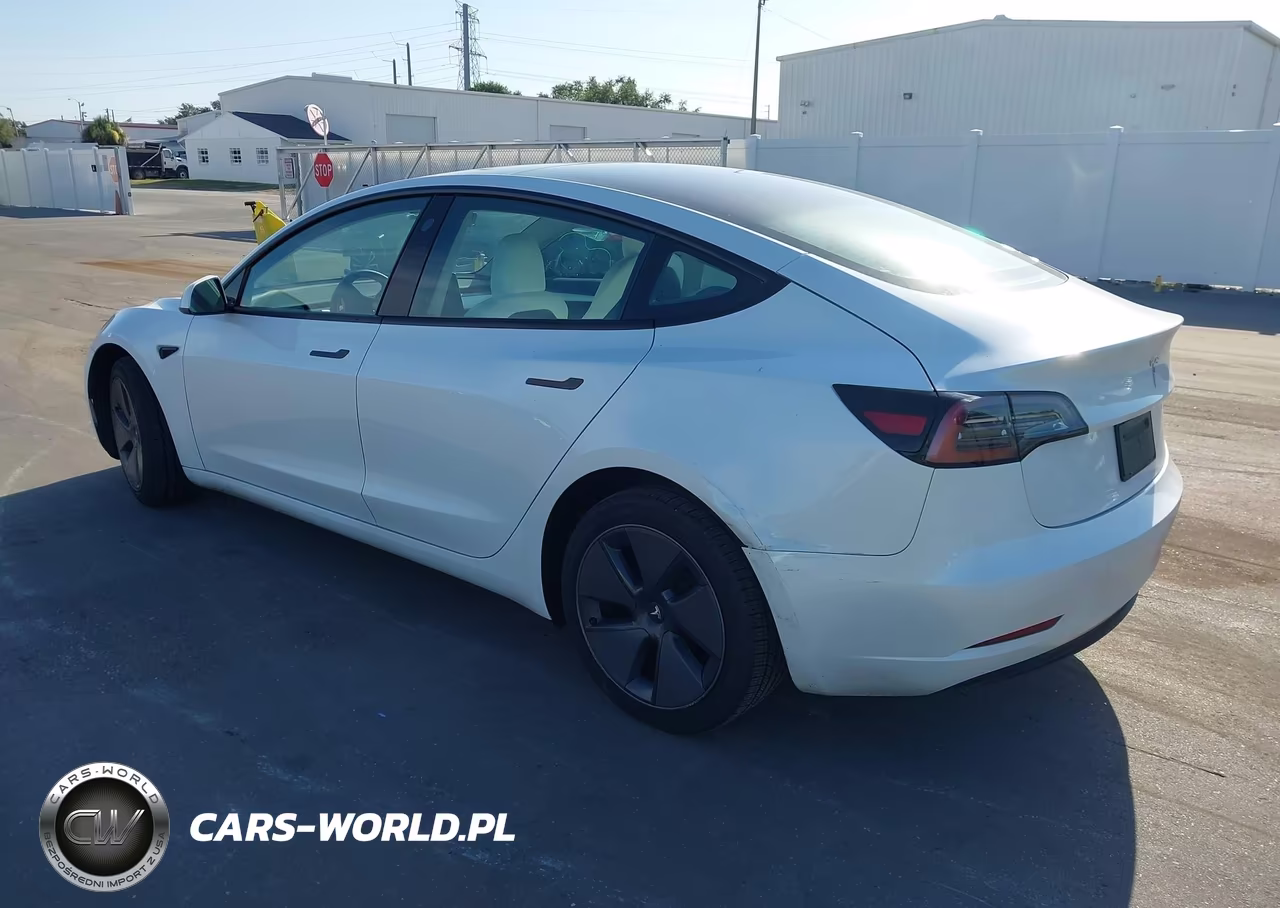 2023 Tesla Model 3 Rear-Wheel Drive VIN:5YJ3E1EA2PF423681 - 3