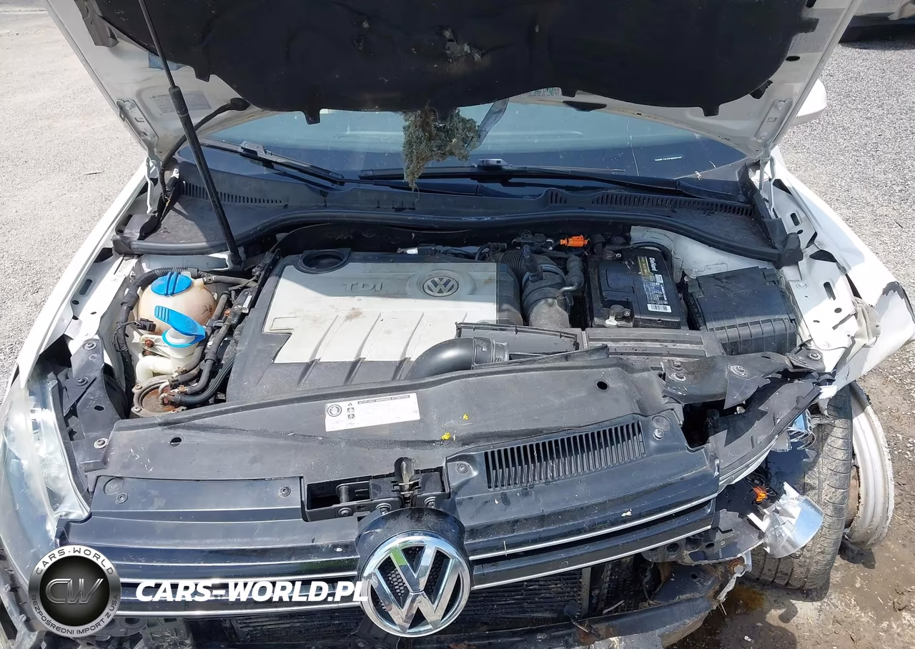 2012 Volkswagen Jetta Sportwagen 2.0L Tdi VIN:3VWPL7AJ3CM668265 - 10