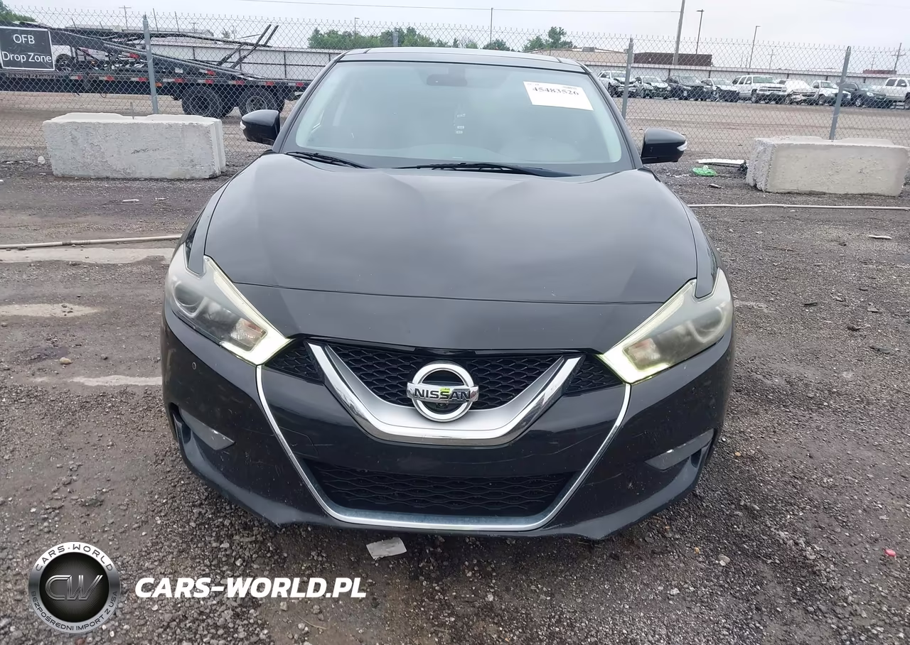 2017 Nissan Maxima 3.5 Platinum VIN:1N4AA6AP7HC446534 - 12