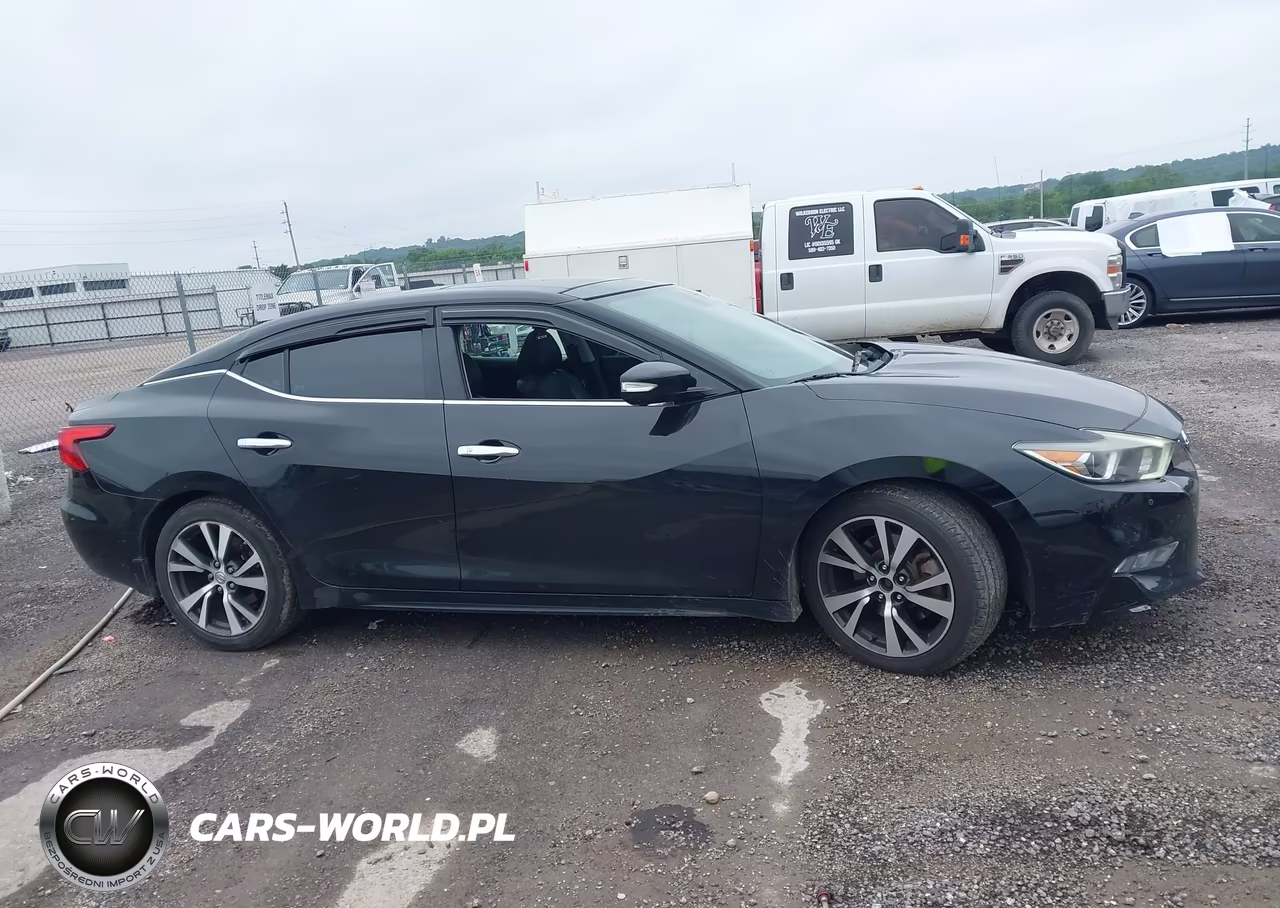 2017 Nissan Maxima 3.5 Platinum VIN:1N4AA6AP7HC446534 - 13