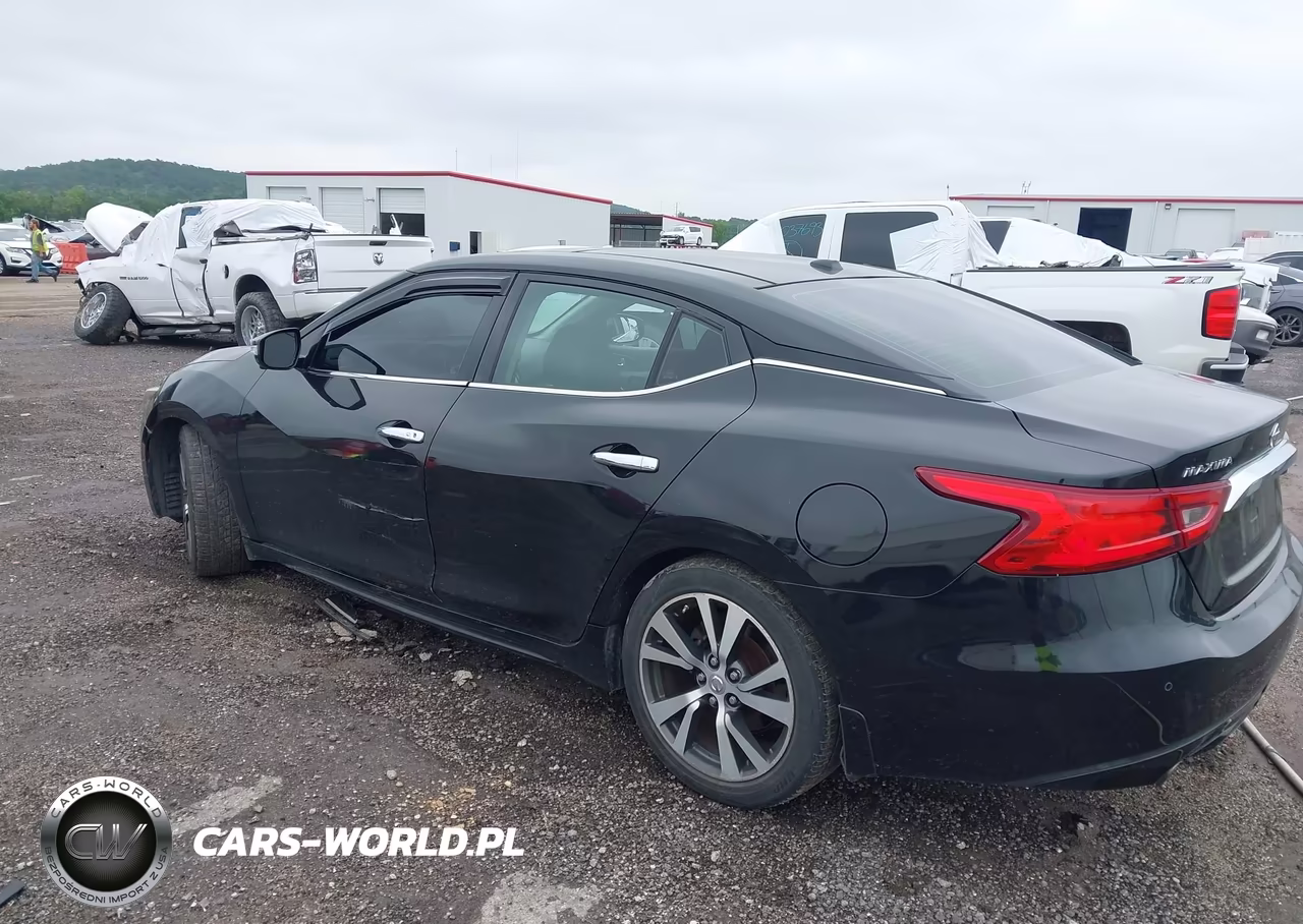 2017 Nissan Maxima 3.5 Platinum VIN:1N4AA6AP7HC446534 - 3