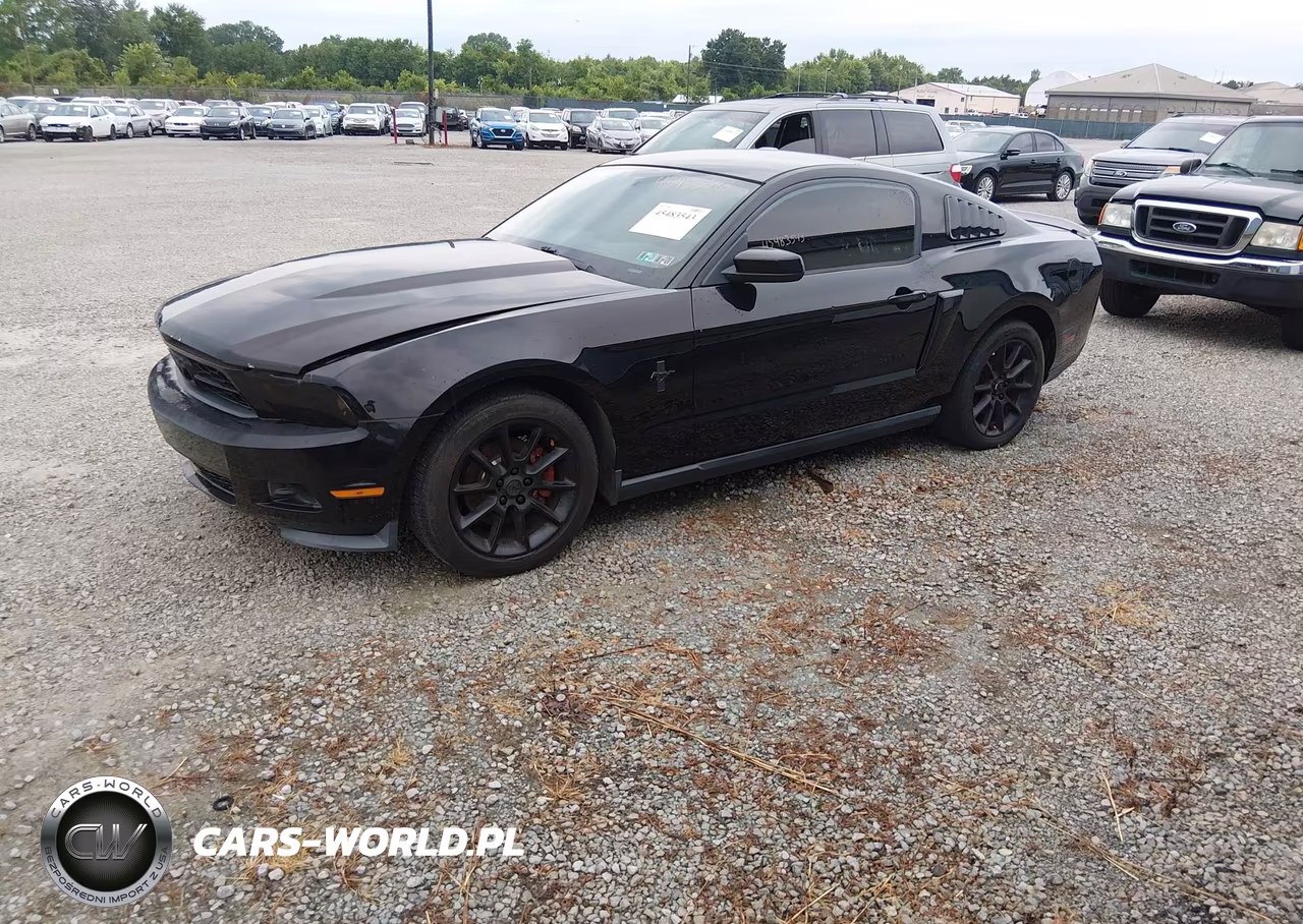 2011 Ford Mustang V6-V6 Premium VIN:1ZVBP8AM4B5150992 - 2