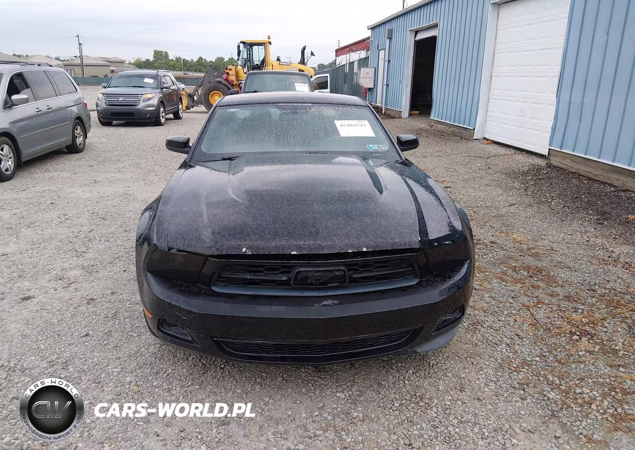 2011 Ford Mustang V6-V6 Premium VIN:1ZVBP8AM4B5150992 - 6