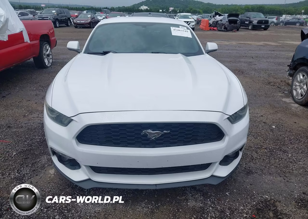 2016 Ford Mustang Ecoboost VIN:1FA6P8TH1G5279256 - 12