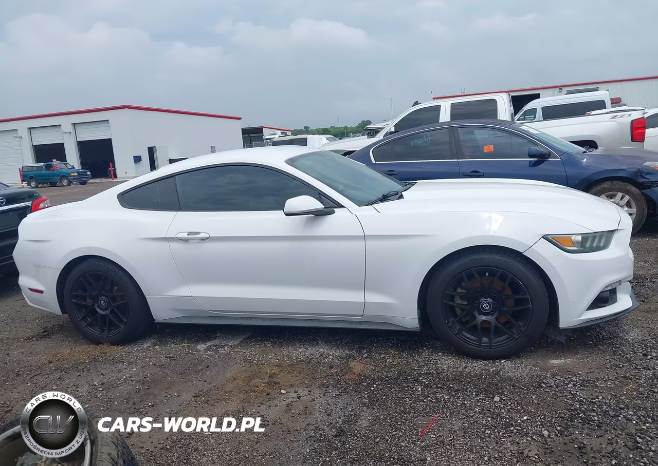 2016 Ford Mustang Ecoboost VIN:1FA6P8TH1G5279256 - 13