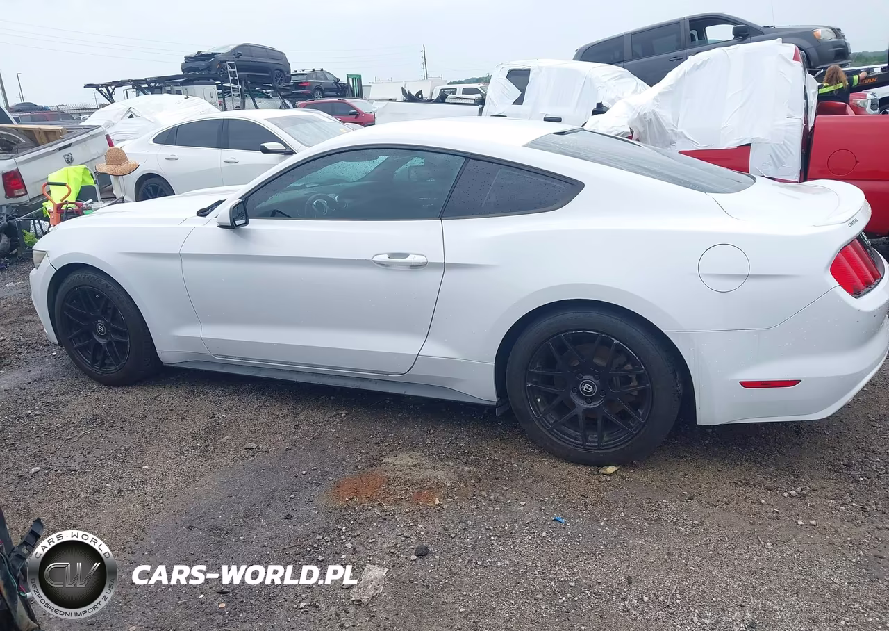 2016 Ford Mustang Ecoboost VIN:1FA6P8TH1G5279256 - 14