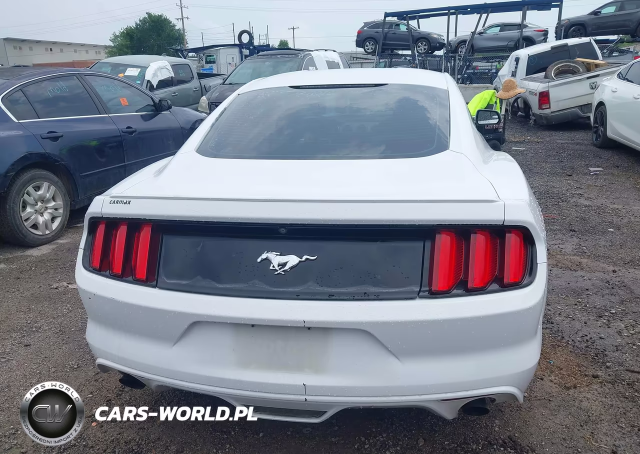 2016 Ford Mustang Ecoboost VIN:1FA6P8TH1G5279256 - 16