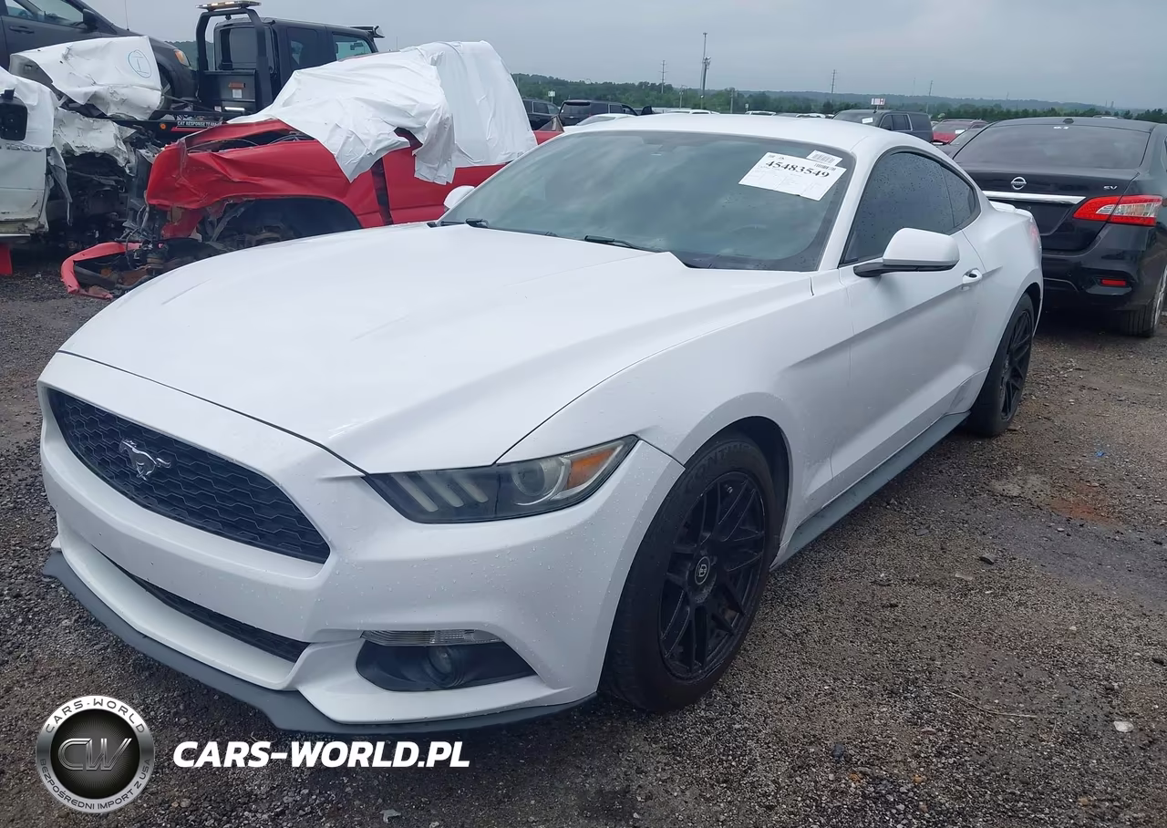 2016 Ford Mustang Ecoboost VIN:1FA6P8TH1G5279256 - 2
