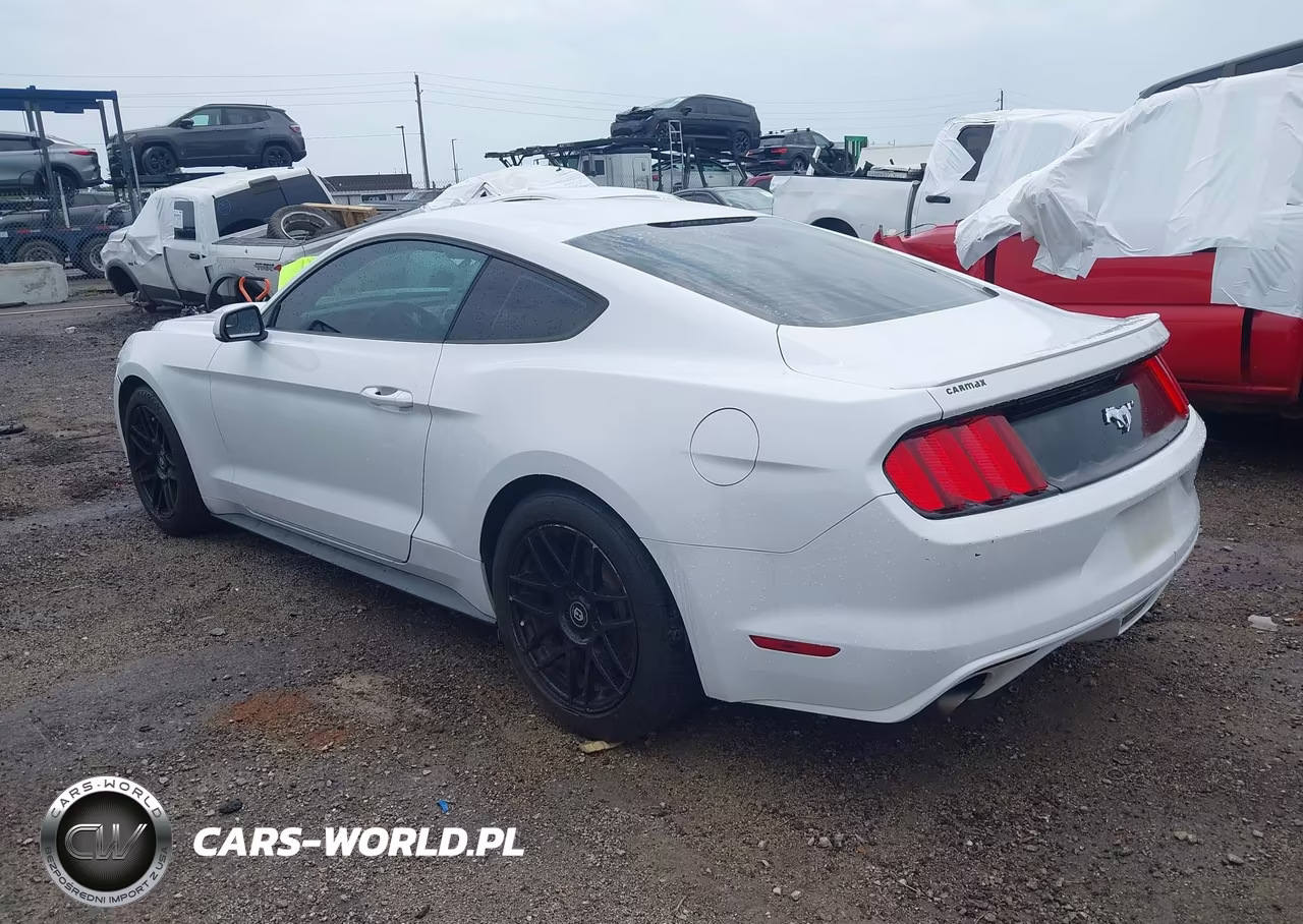 2016 Ford Mustang Ecoboost VIN:1FA6P8TH1G5279256 - 3