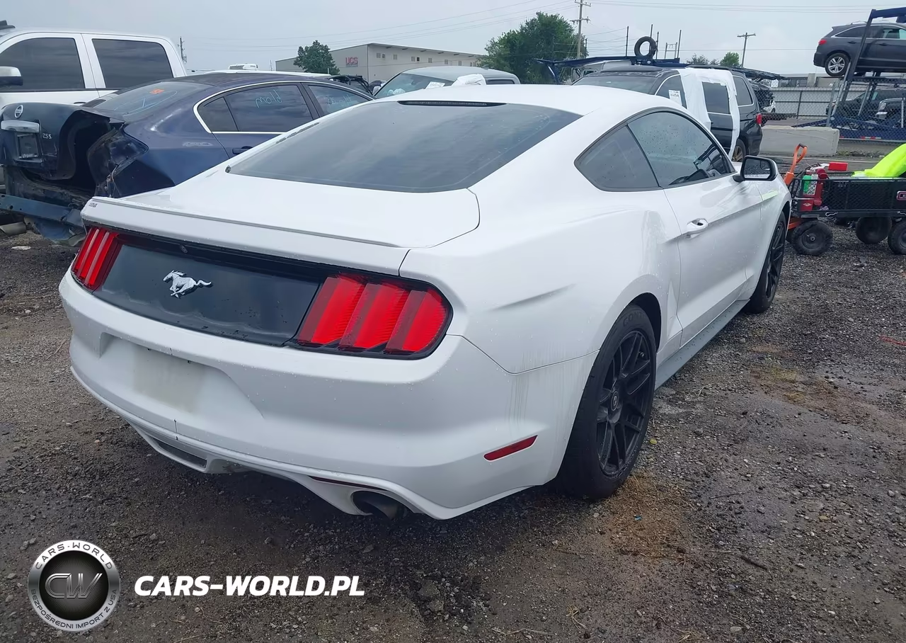 2016 Ford Mustang Ecoboost VIN:1FA6P8TH1G5279256 - 4