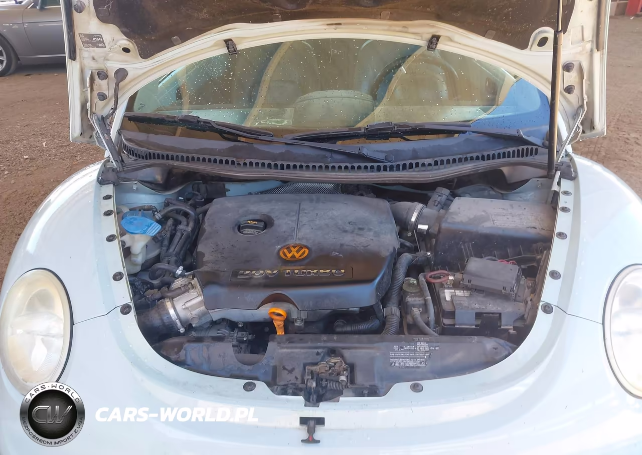 2005 Volkswagen New Beetle Gls 1.8T VIN:3VWCD31Y35M356919 - 10