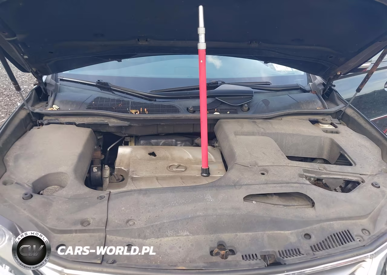 2013 Lexus Rx 350 VIN:2T2BK1BA0DC155556 - 10