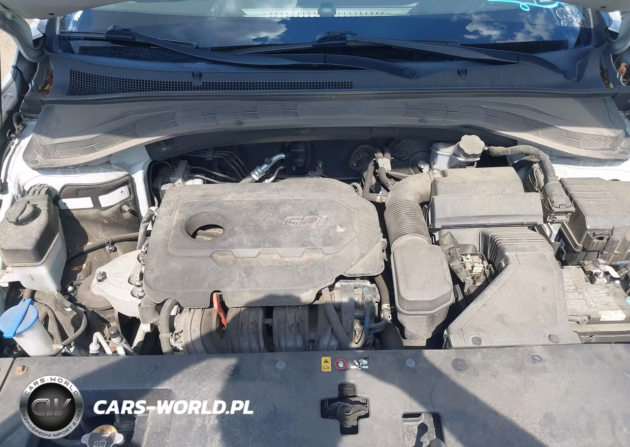2019 Hyundai Santa Fe Limited VIN:5NMS5CAD9KH071729 - 10
