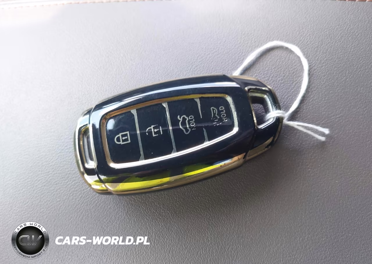 2019 Hyundai Santa Fe Limited VIN:5NMS5CAD9KH071729 - 11