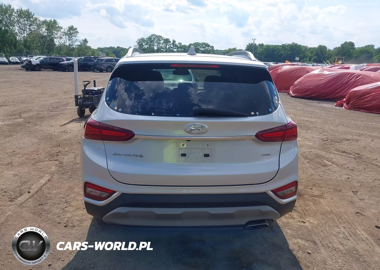 2019 Hyundai Santa Fe Limited VIN:5NMS5CAD9KH071729 - 16