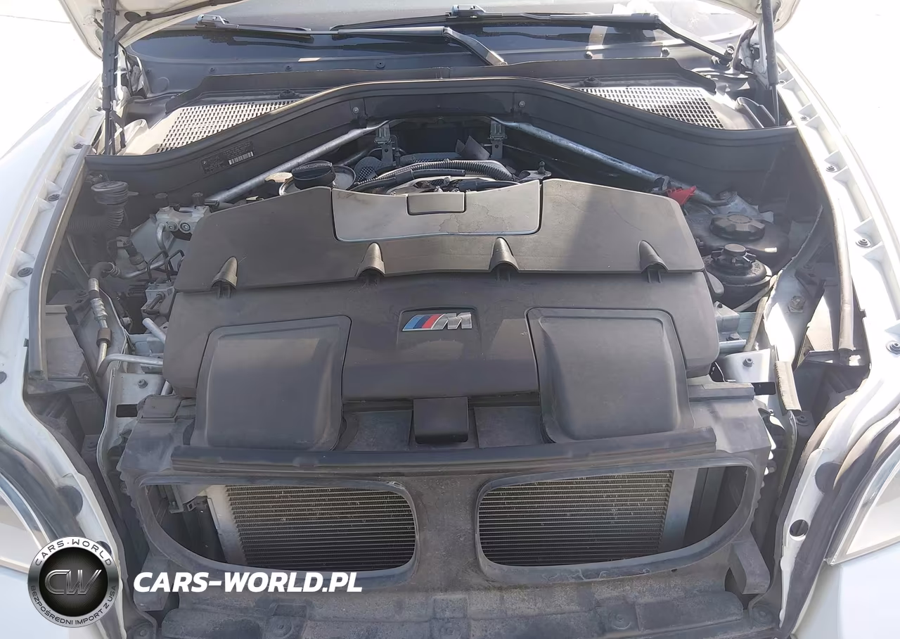2014 BMW X6 M VIN:5YMGZ0C5XE0C40637 - 10