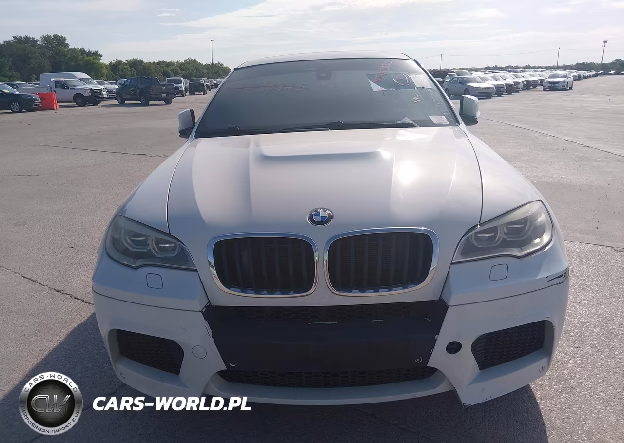 2014 BMW X6 M VIN:5YMGZ0C5XE0C40637 - 12