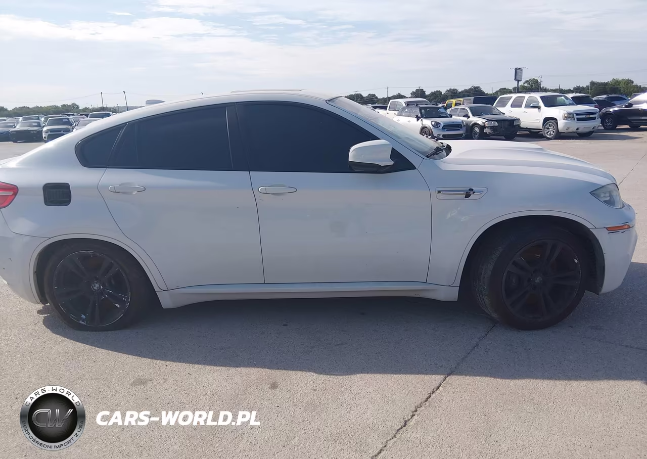 2014 BMW X6 M VIN:5YMGZ0C5XE0C40637 - 13
