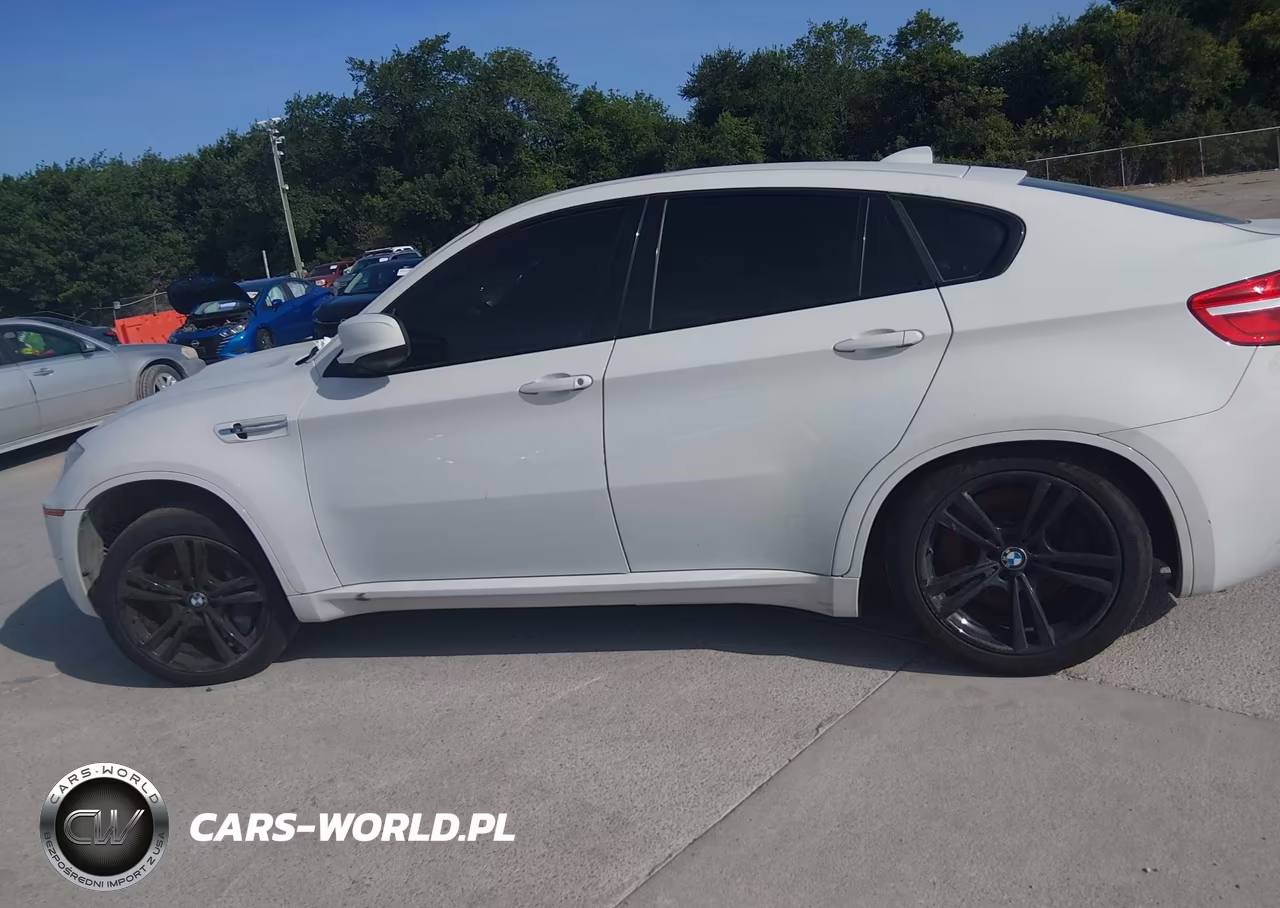 2014 BMW X6 M VIN:5YMGZ0C5XE0C40637 - 14