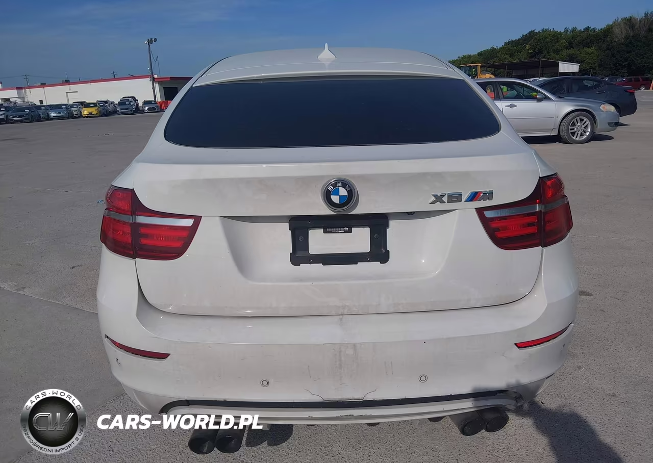 2014 BMW X6 M VIN:5YMGZ0C5XE0C40637 - 16