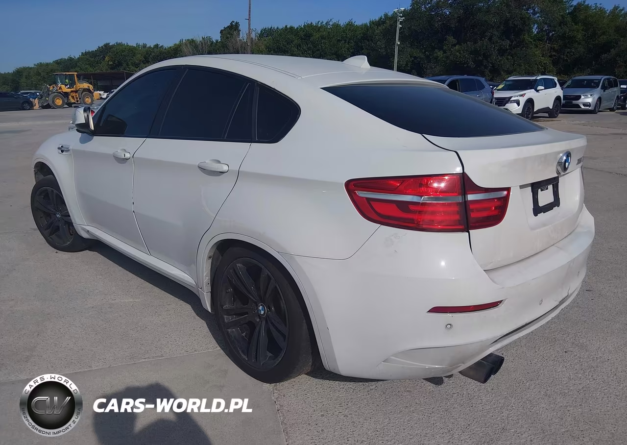 2014 BMW X6 M VIN:5YMGZ0C5XE0C40637 - 3