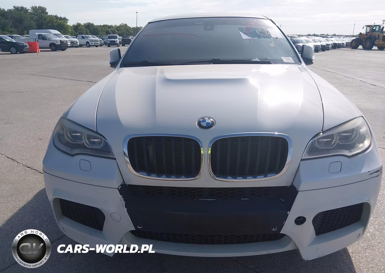 2014 BMW X6 M VIN:5YMGZ0C5XE0C40637 - 6