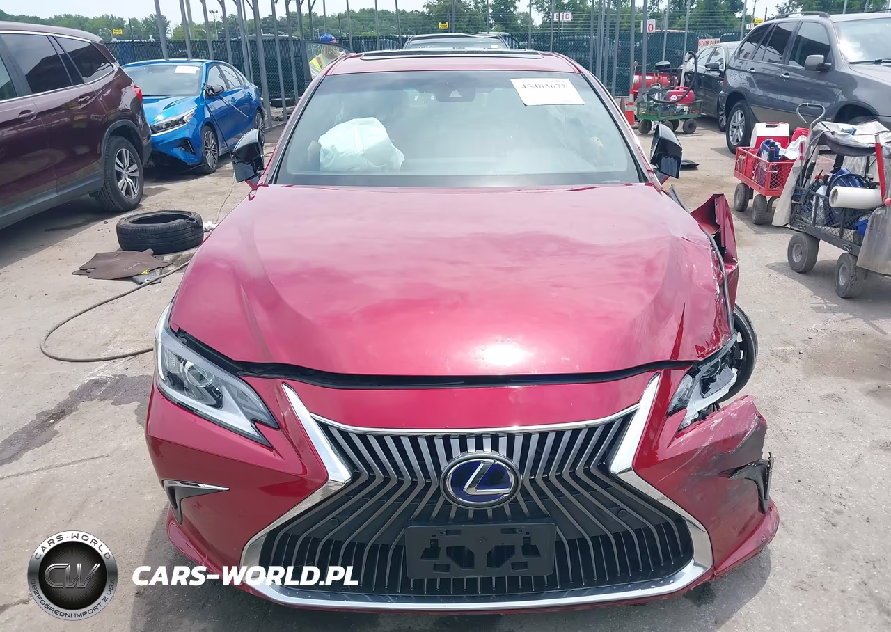 2019 Lexus Es 300H Luxury VIN:58AB21B1XKU002773 - 13