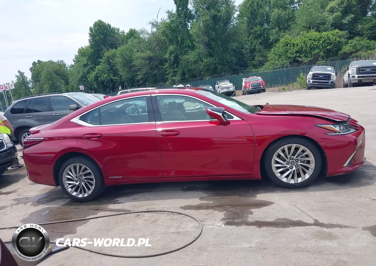 2019 Lexus Es 300H Luxury VIN:58AB21B1XKU002773 - 14