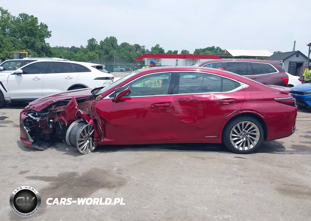2019 Lexus Es 300H Luxury VIN:58AB21B1XKU002773 - 15