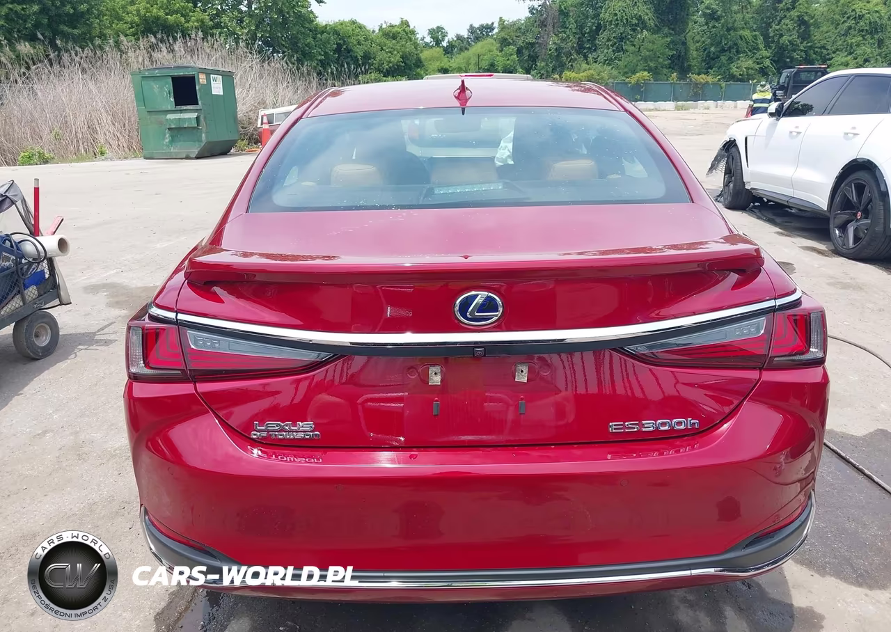 2019 Lexus Es 300H Luxury VIN:58AB21B1XKU002773 - 17