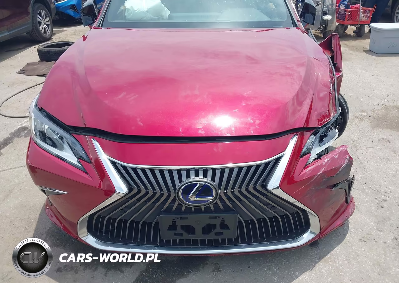 2019 Lexus Es 300H Luxury VIN:58AB21B1XKU002773 - 18