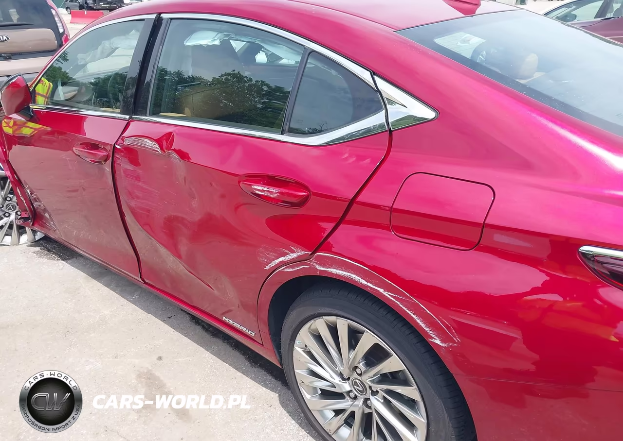 2019 Lexus Es 300H Luxury VIN:58AB21B1XKU002773 - 19