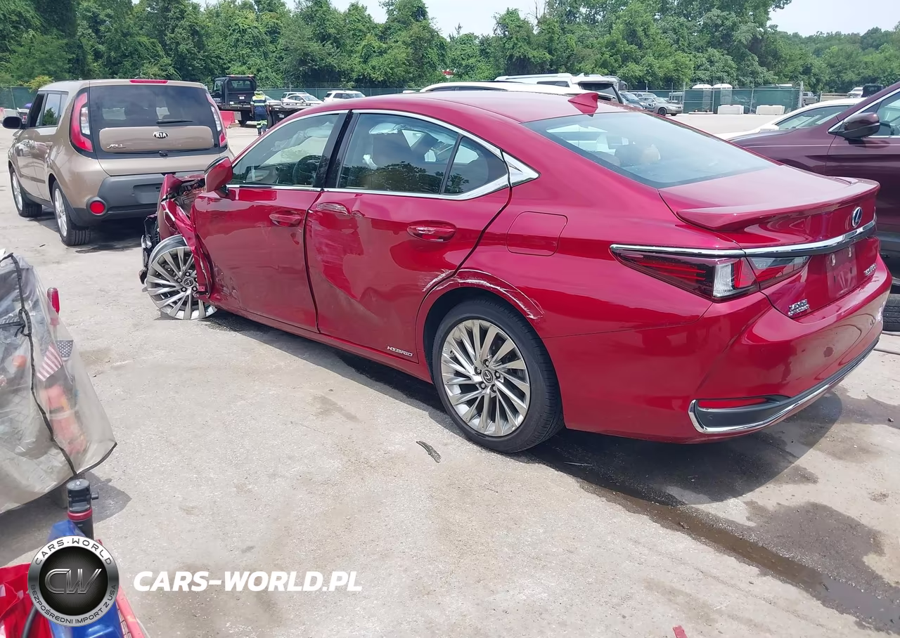 2019 Lexus Es 300H Luxury VIN:58AB21B1XKU002773 - 3