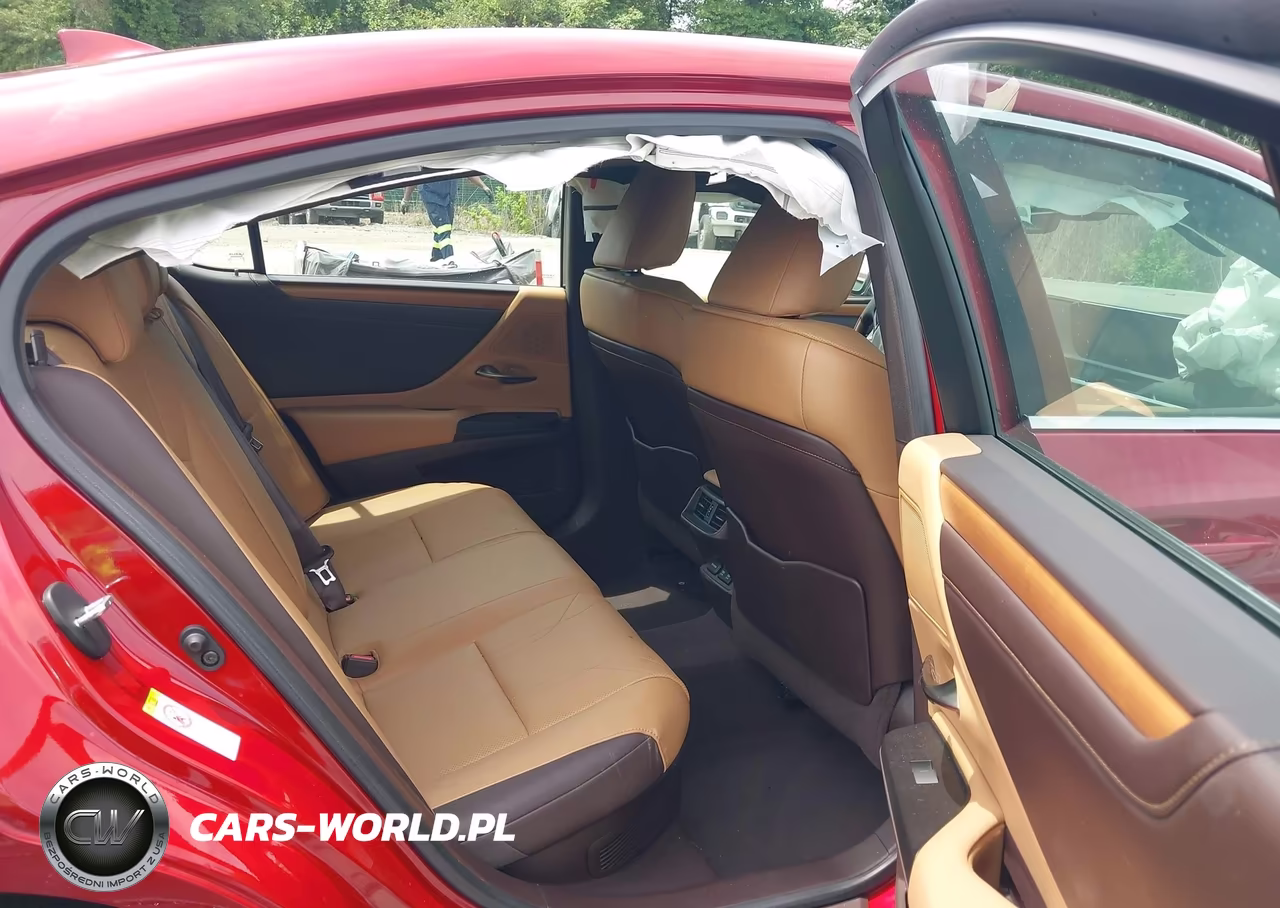 2019 Lexus Es 300H Luxury VIN:58AB21B1XKU002773 - 8