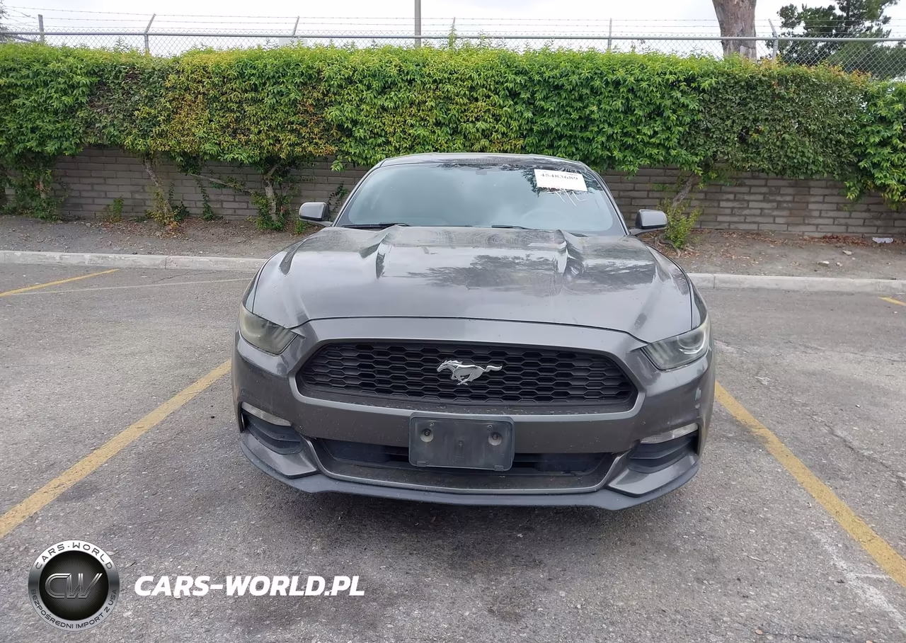 2017 Ford Mustang V6 VIN:1FA6P8AM4H5213978 - 12