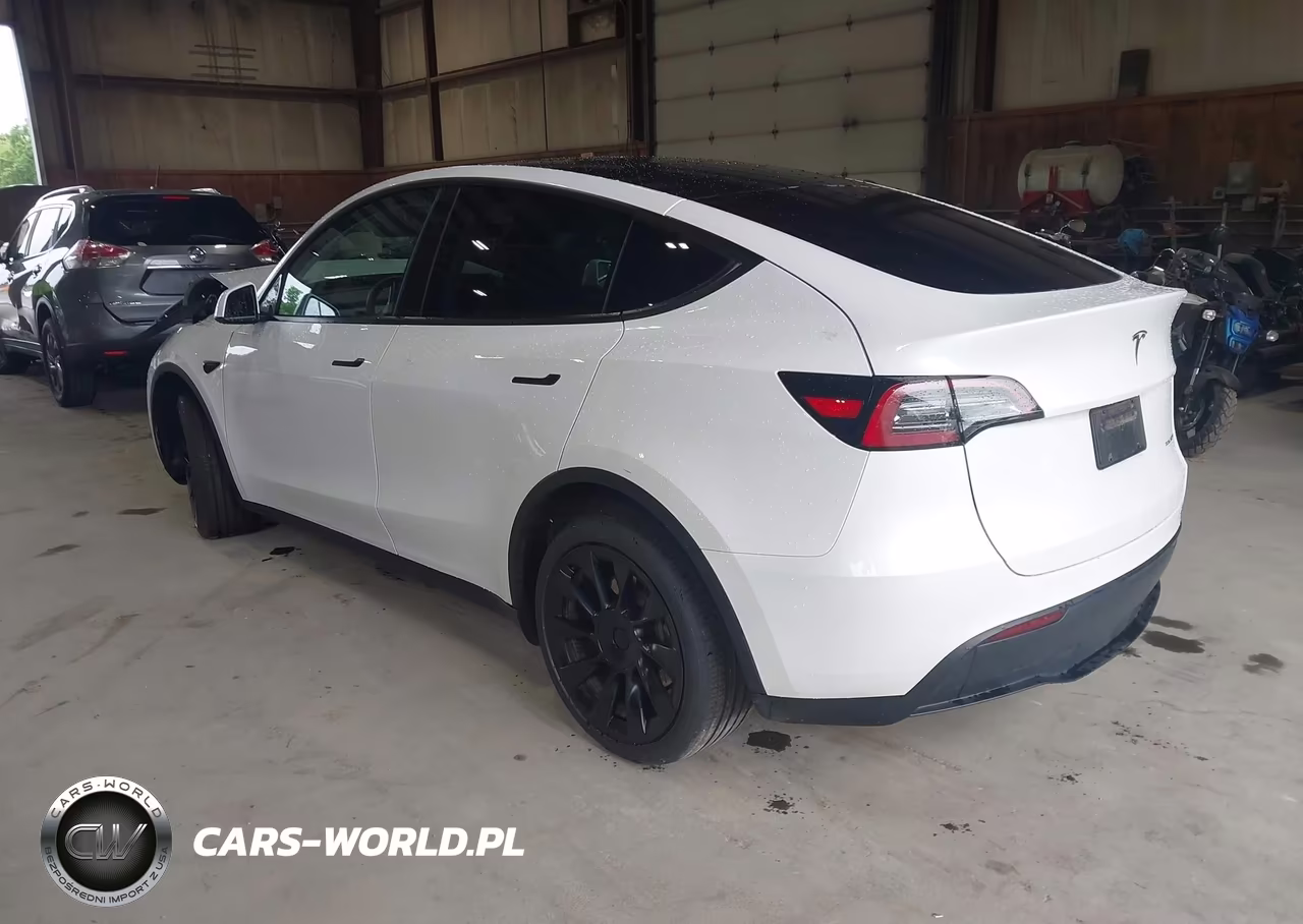 2023 Tesla Model Y VIN:7SAYGDEE2PF792211 - 3