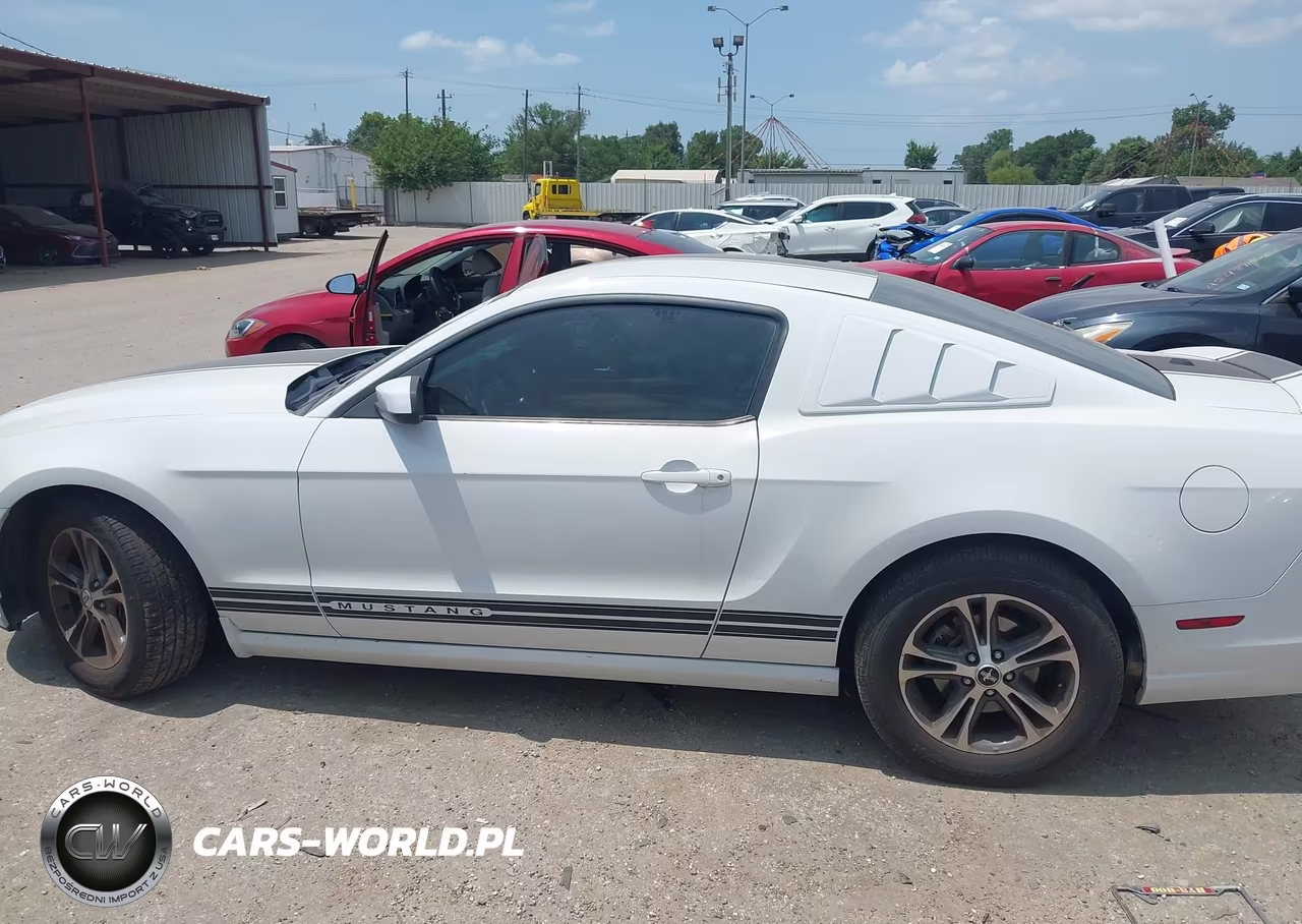 2014 Ford Mustang V6 Premium VIN:1ZVBP8AM1E5206214 - 14