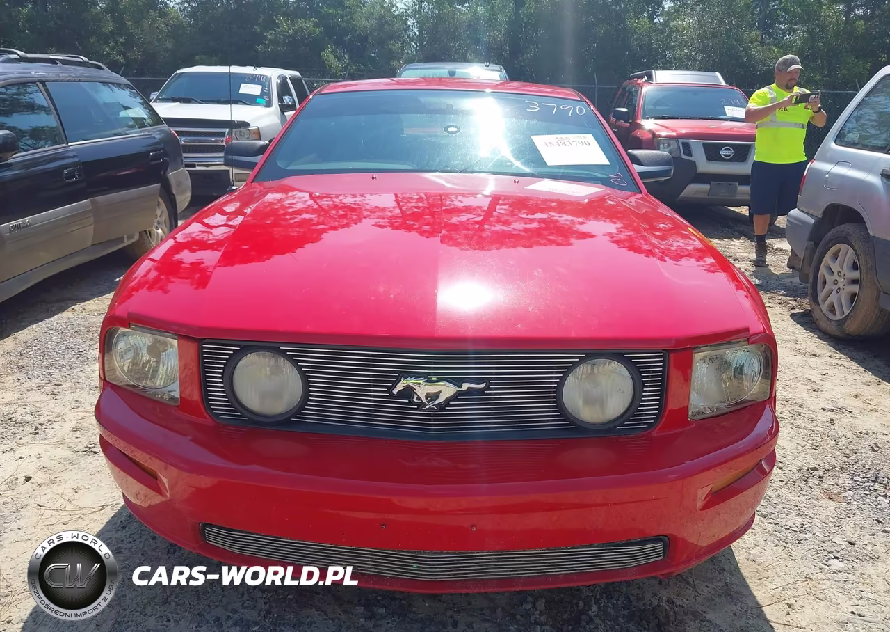 2006 Ford Mustang Gt VIN:1ZVHT82H965118469 - 12