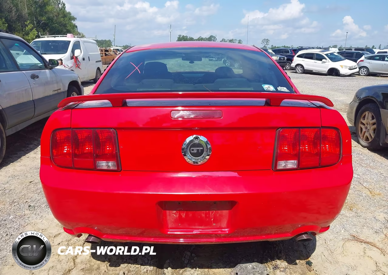2006 Ford Mustang Gt VIN:1ZVHT82H965118469 - 16